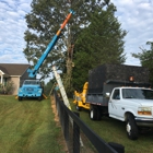 Roof's Tree Service