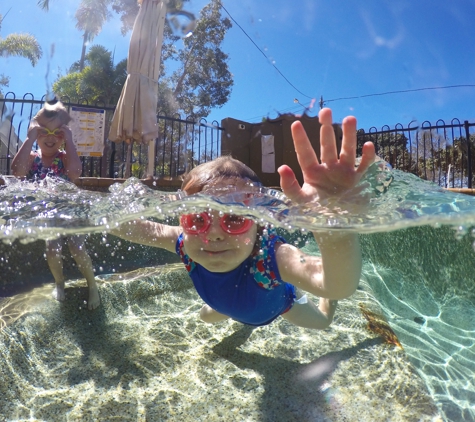 Willows Pool Shop - Thuringowa Central, QLD. Family Friendly Chemicals