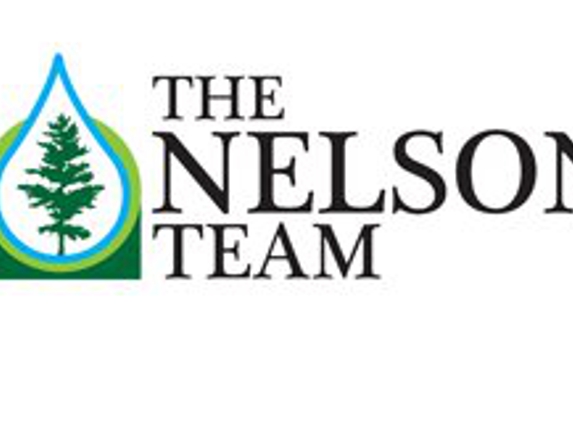 The Nelson Team Inc - Leeds, AL