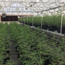 Hemp Depot - Clinics