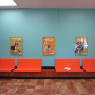 Banfield Pet Hospital - Saint Louis, MO