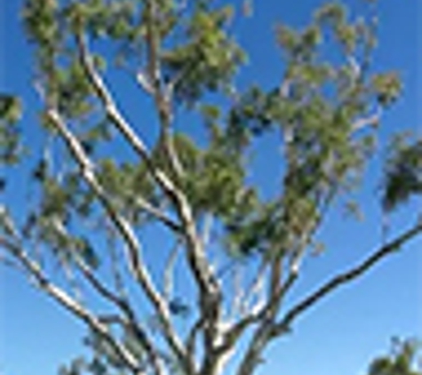 North West Tree Services