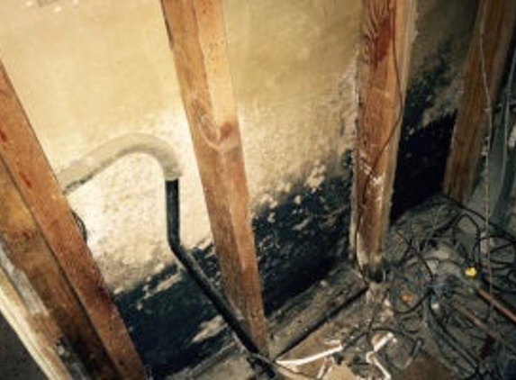 Mold Experts of Missouri & Kansas - Kansas City, MO