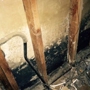 Mold Experts of Missouri & Kansas