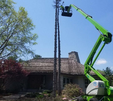 Autumn's  Tree Service LLC - Madison, WI. Tree Removal with minimal landscape impact.