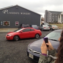 Plagido's Winery - Wineries