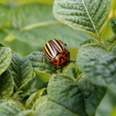 General Exterminating Company - Pest Control Equipment & Supplies