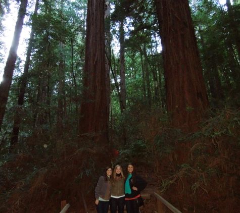 Muir Woods Park Tours - San Francisco, CA