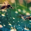 Pestcore Pest Control gallery