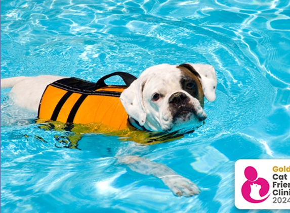 Pet Universe Veterinary Centre Broadview & Northgate - Lightsview, SA. Canine Rehabilitation