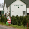 Starlyte Christmas Tree Farm gallery