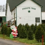 Starlyte Christmas Tree Farm