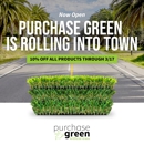 Purchase Green Artificial Grass - Landscape Designers & Consultants