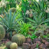 Mid Georgia Landscape Solutions gallery