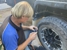 Baldwin's Tractor & 4WD Dismantlers - Car Parts