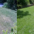 Whits lawns & landscaping