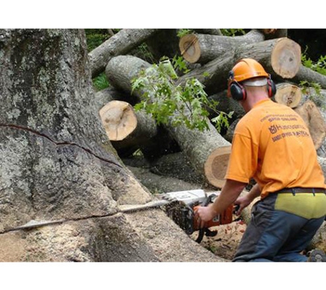 TreeSpec Professional Arborists