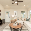 Beazer Homes Montgomery Ridge 40' Homesites