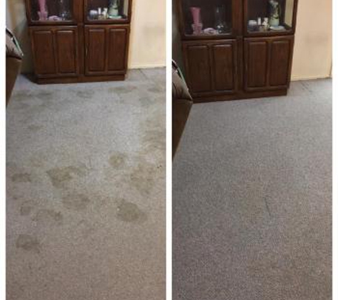 Starr Cleaning Services - Mesa, AZ