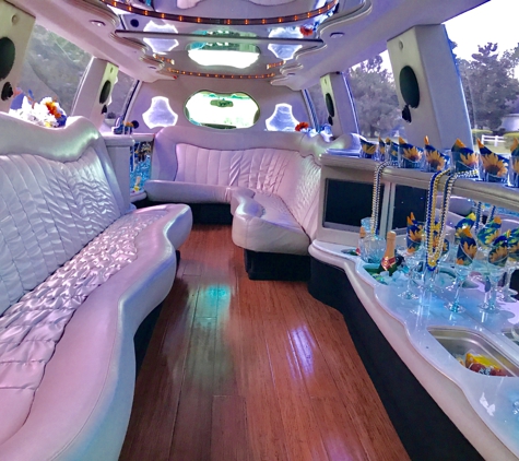 Presley Limousines of Palm Coast, Inc - Palm Coast, FL