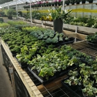 Rice's Greenhouses Inc