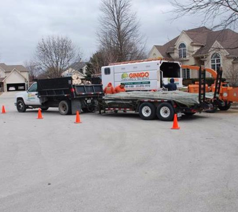 Ginkgo Landscaping And Tree Service - Joliet, IL