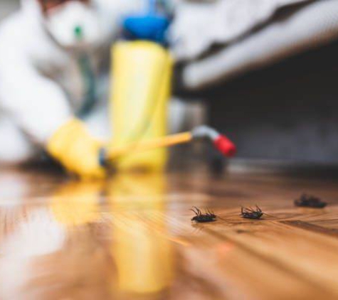 Area Wide Exterminators - Stockton, CA