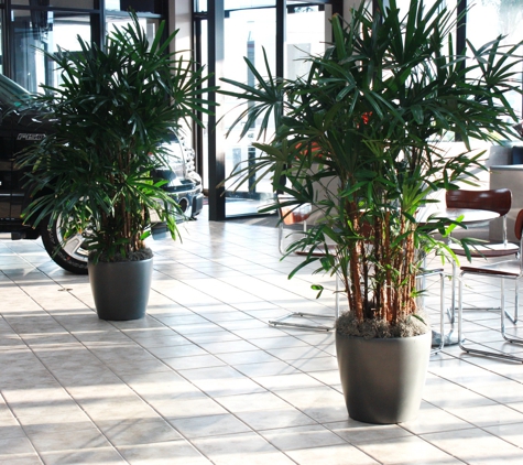 Tropical Gardens Interiorscaping, Plant Rental and Maintenance