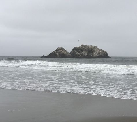 Seal Rock Research - San Francisco, CA