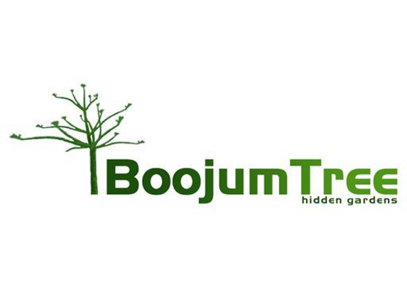 Boojum Tree Hidden Gardens - Phoenix, AZ