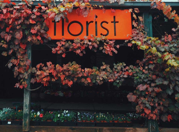 Wombat Hill Nursery - Daylesford, VIC