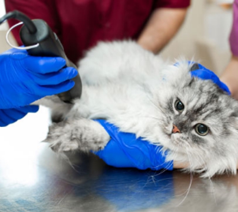 The Veterinary Hospital North - Clarkson, WA