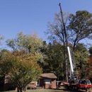 Advanced Tree Experts - Arborists