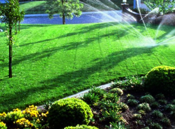 Mesquite Landscape & Lawn Care - Sacramento, CA