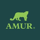 Amur Equipment Finance, Inc. - Leasing Service