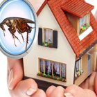 Best Pest Control Services