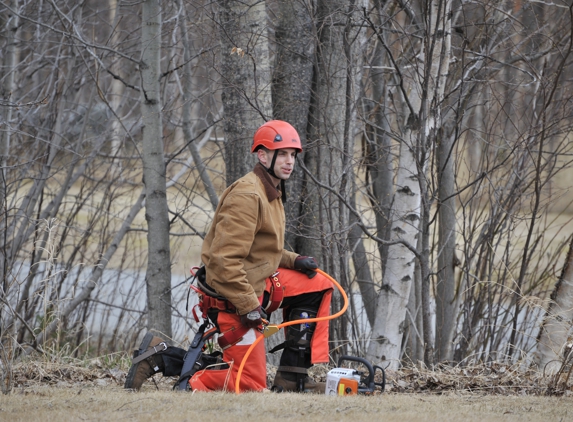 Three Trees Tree Service - Palmer, AK