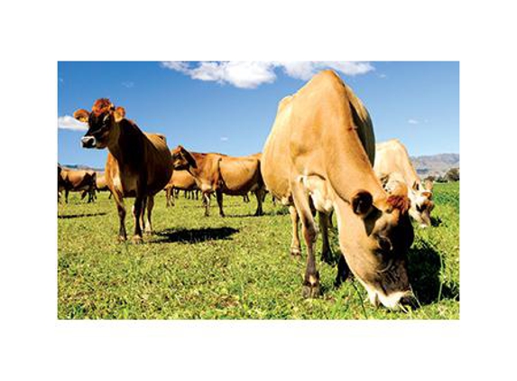 Agrifood Technology - Bibra Lake, WA