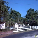 Palm Garden Of Clearwater - Nursing & Convalescent Homes