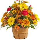 Royer's Flowers & Gifts