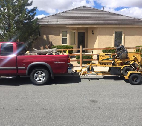 Expert Tree and Yard Services - Reno, NV