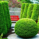 Colorscape Landscaping - Landscape Designers & Consultants