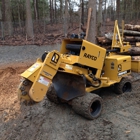 ACE Professional stump grinding