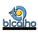 Bicalho Pro Services LLC - Painting Contractors