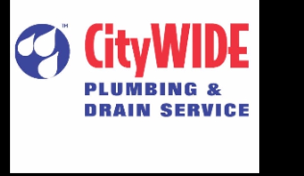 CityWide Plumbing & Drain Service - Acworth, GA