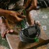 Bell Pest Control Services gallery