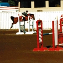 Breeze Training - Horse Training