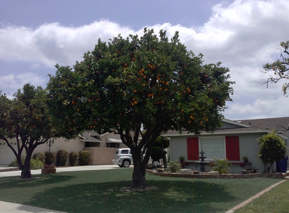 Chad's Chippers Tree Service - Lancaster, CA