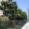 Canyon Village Apartments gallery