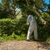 Ham's Termite & Pest Control gallery